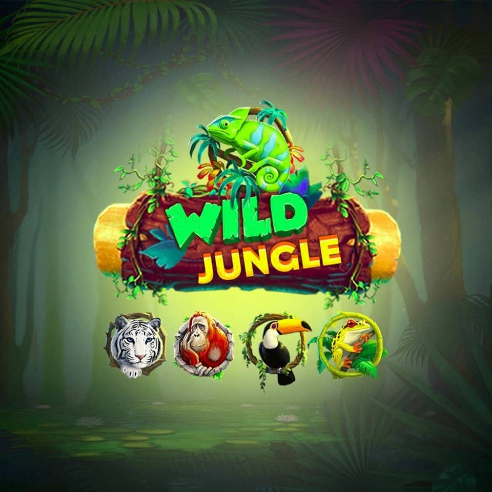 001bet login