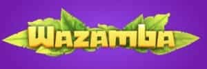 Codigo blaze
